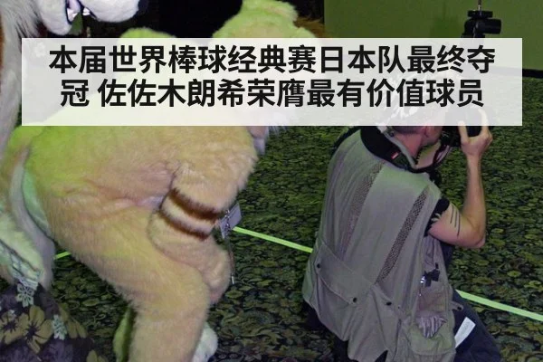 本届世界棒球经典赛日本队最终夺冠 佐佐木朗希荣膺最有价值球员